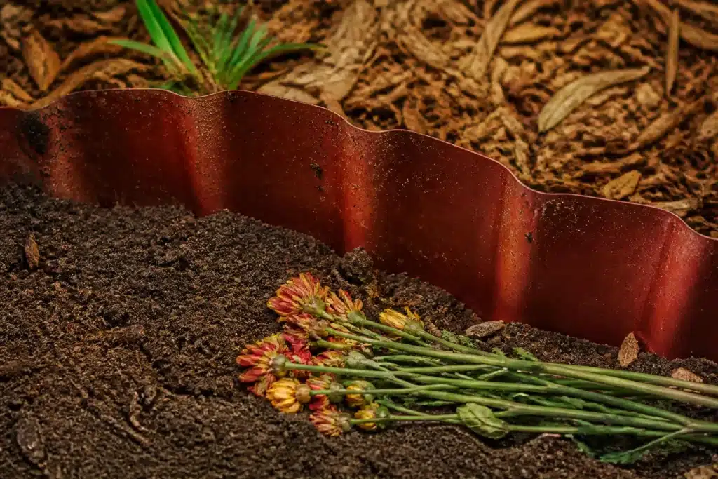 Barriere plastique enfoncee dans terre sombre, fleurs fanees coupees