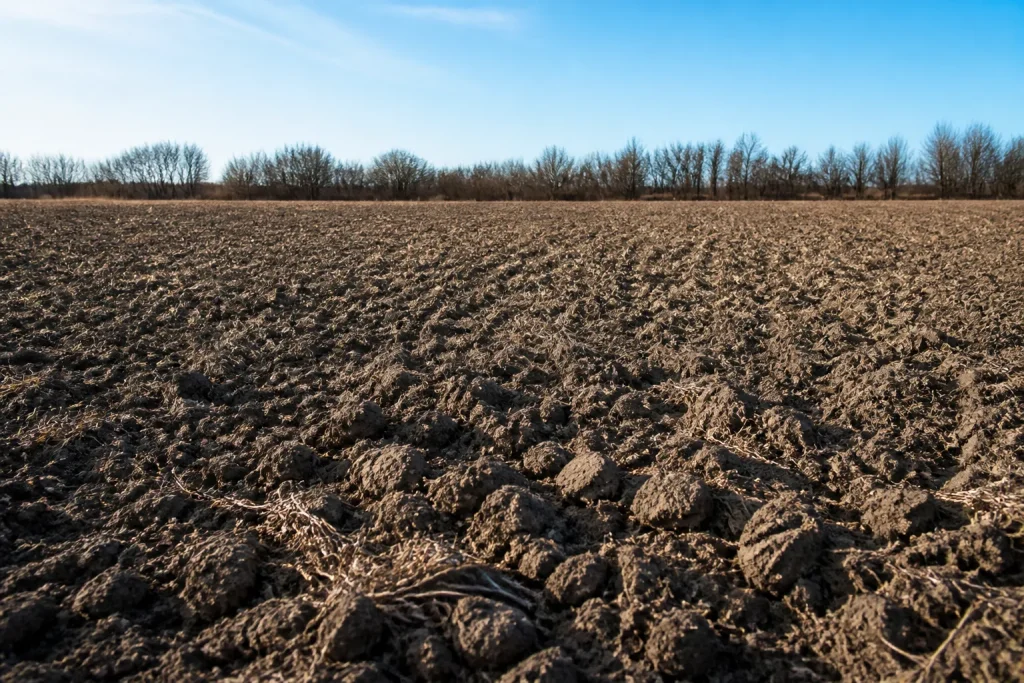 Champ de terre marron gris dur et vide