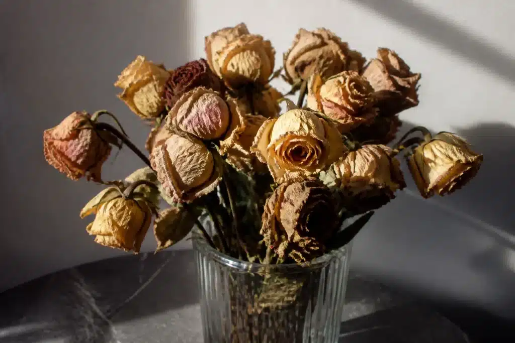 Fleurs fanees aux petales bruns dans vase transparente