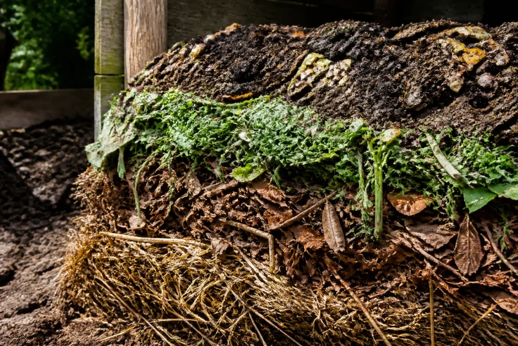 Tas de compost en couches brun et vert