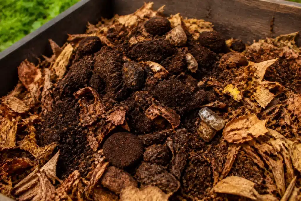 Tas de compost avec feuilles sèches et marc cafe