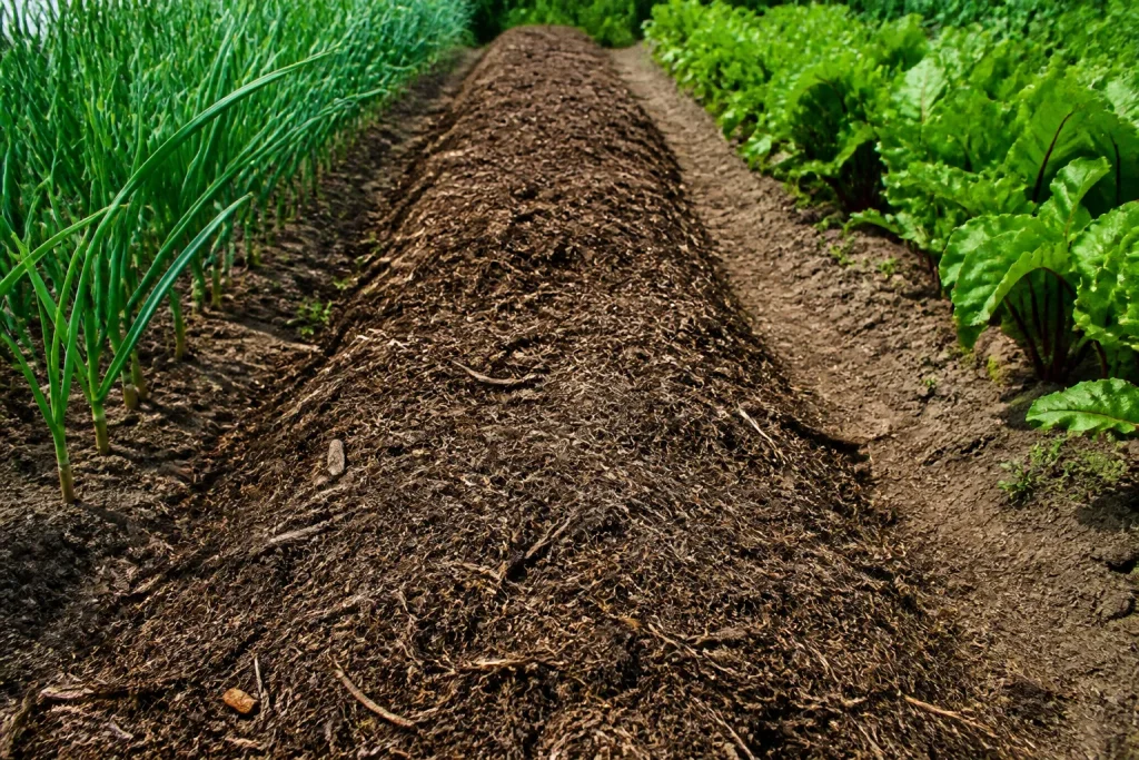 Couche brune couvre bandes terre vide potager