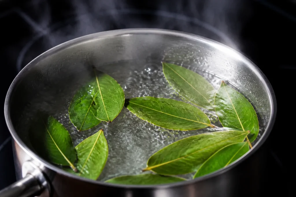 Eau chaude fremissante avec feuilles de laurier vertes