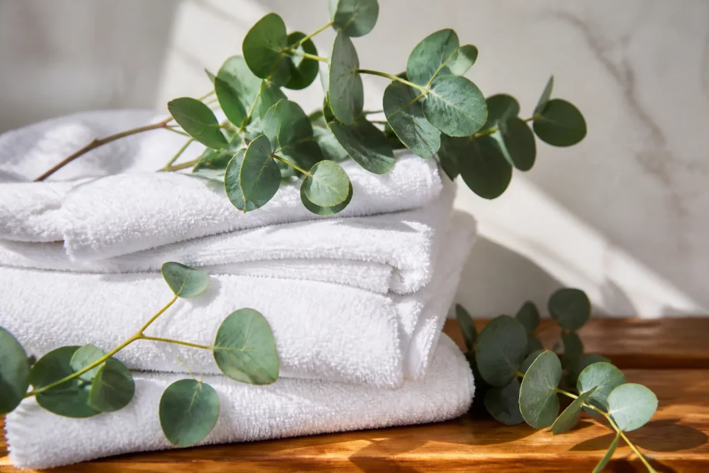 Branches vertes eucalyptus sur serviettes blanches de bain