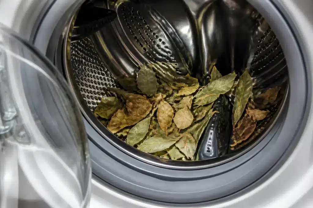 Feuilles de laurier seches dans tambour machine a laver