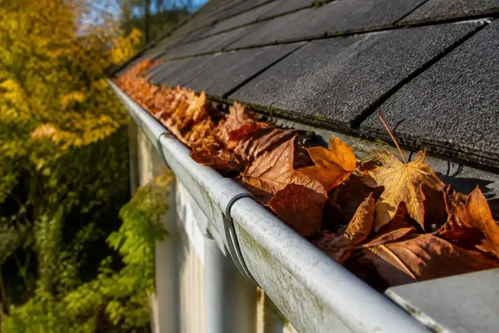 Feuilles mortes accumulees sur gouttiere maison automne