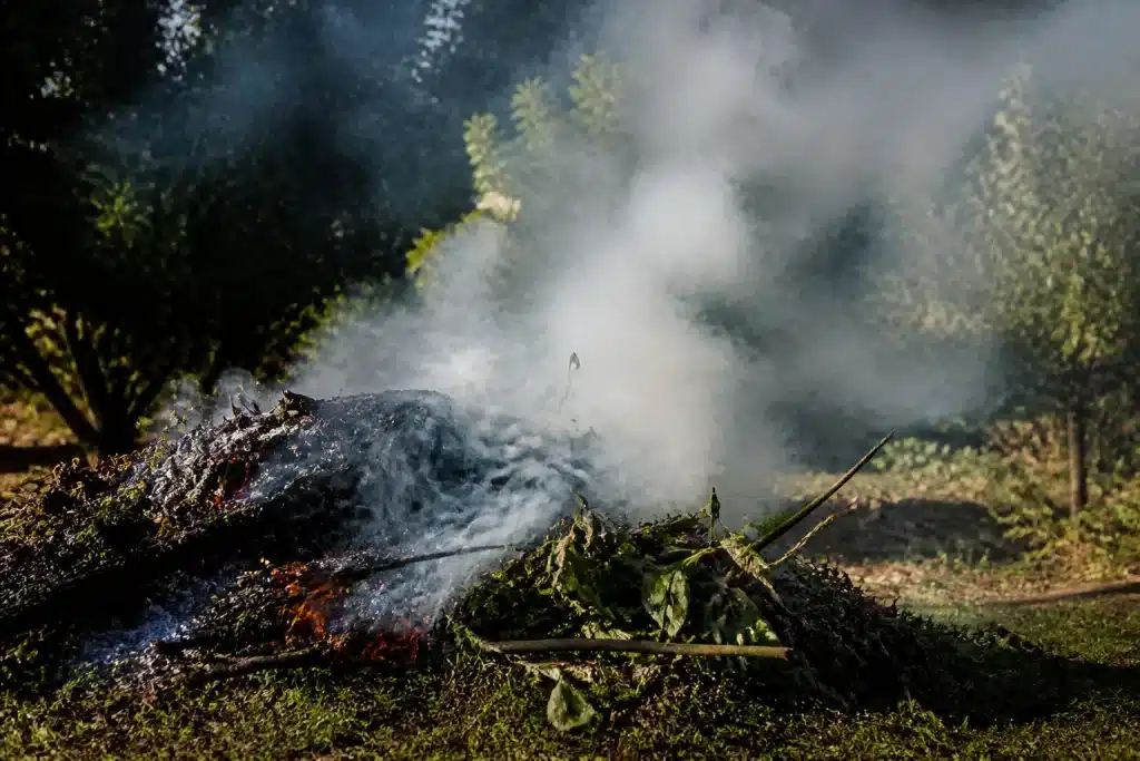 Fumée grise s'échappant d'un feu de végétaux en combustion