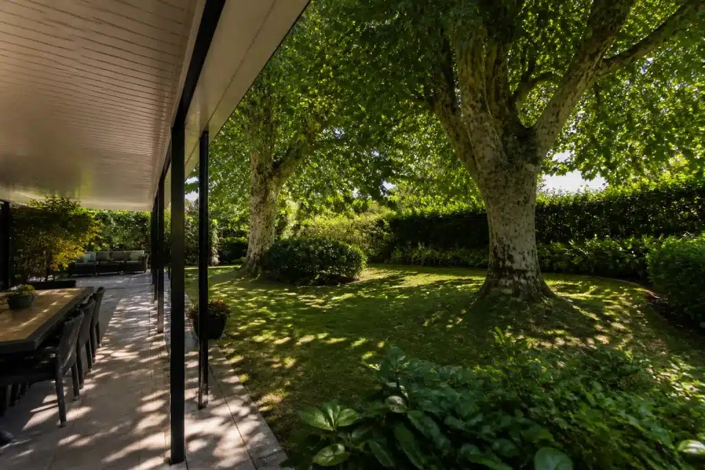Grands peupliers projetant ombre dense sur veranda et jardin residentiel