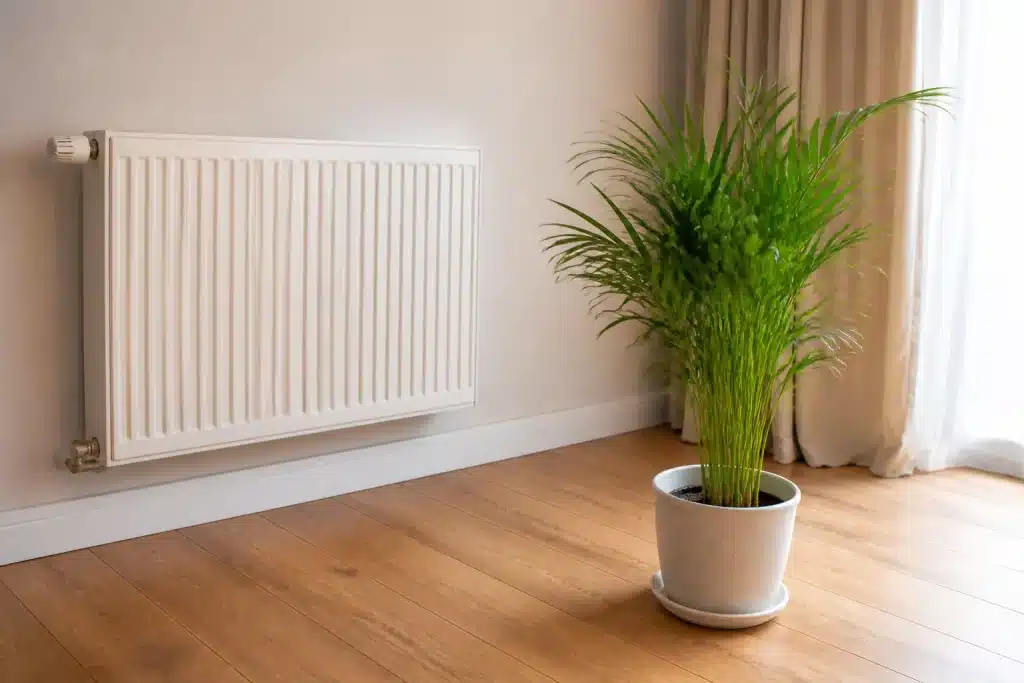 Plante verte eloignee d'un radiateur blanc actif