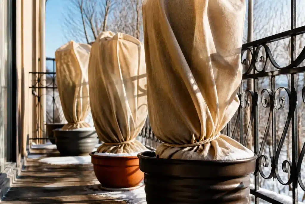 Pots enroules de toile protectrice sur balcon hivernal