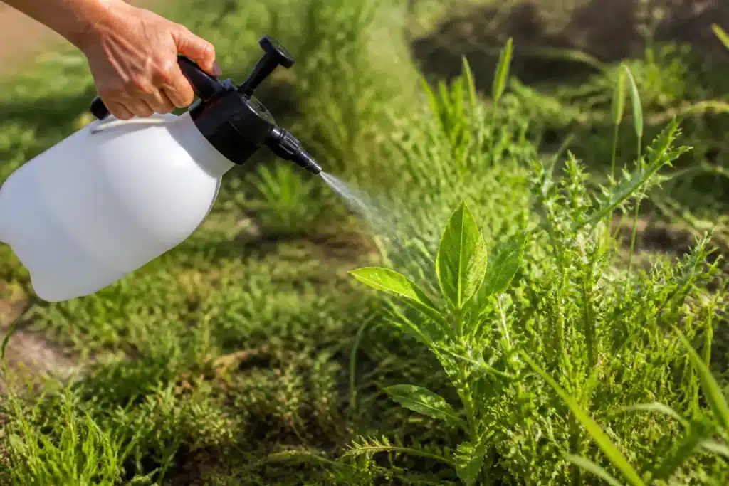 Pulvérisateur blanc vaporisant liquide transparent sur mauvaises herbes vertes