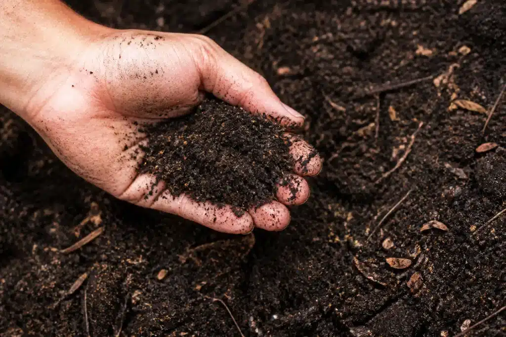 Main dans terre humide avec compost et cailloux retirés