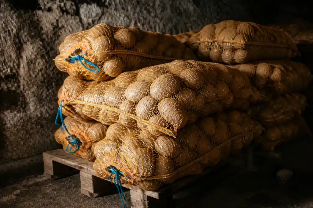 Sacs pommes de terre dans cave fraîche et sombre bien aérée