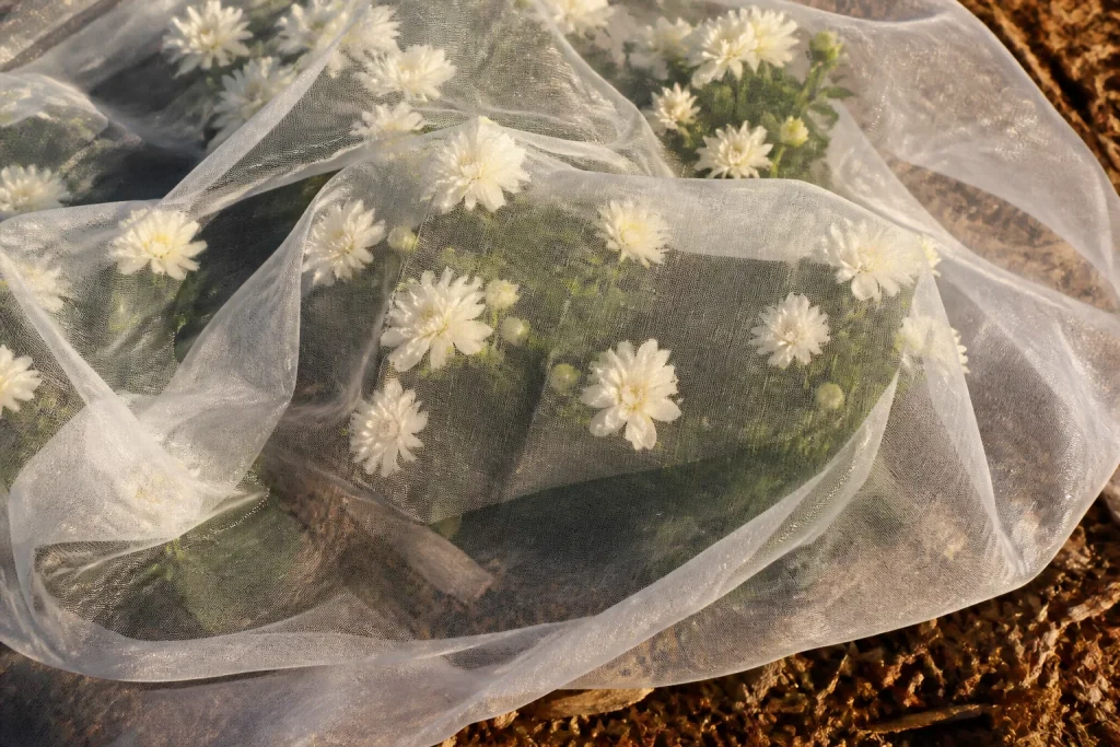 Voile blanc translucide couvrant fleurs paillage marron