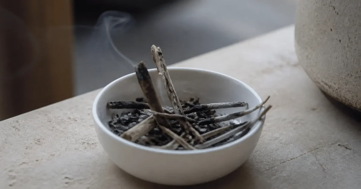 Branches seches qui se consument dans un bol ceramic blanc
