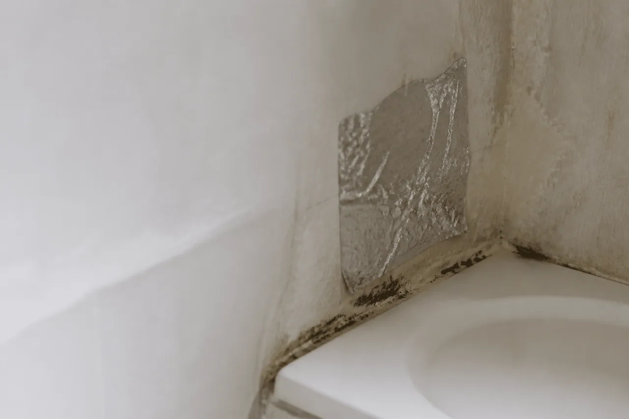 Feuille aluminium collée mur humide salle bain