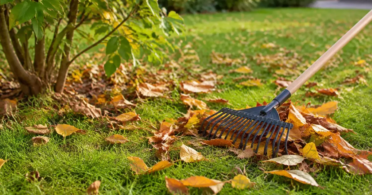 Les feuilles de votre voisin envahissent votre jardin : ce que dit le code civil avant de vous disputer