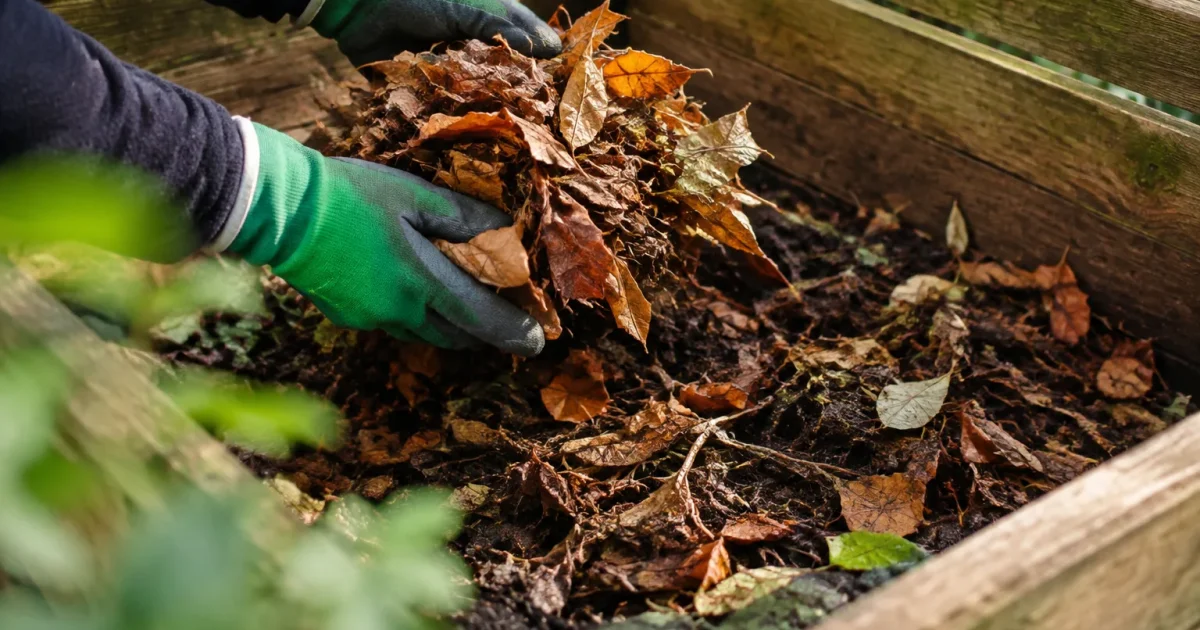 Mains gantees melangeant feuilles mortes dans composteur en bois