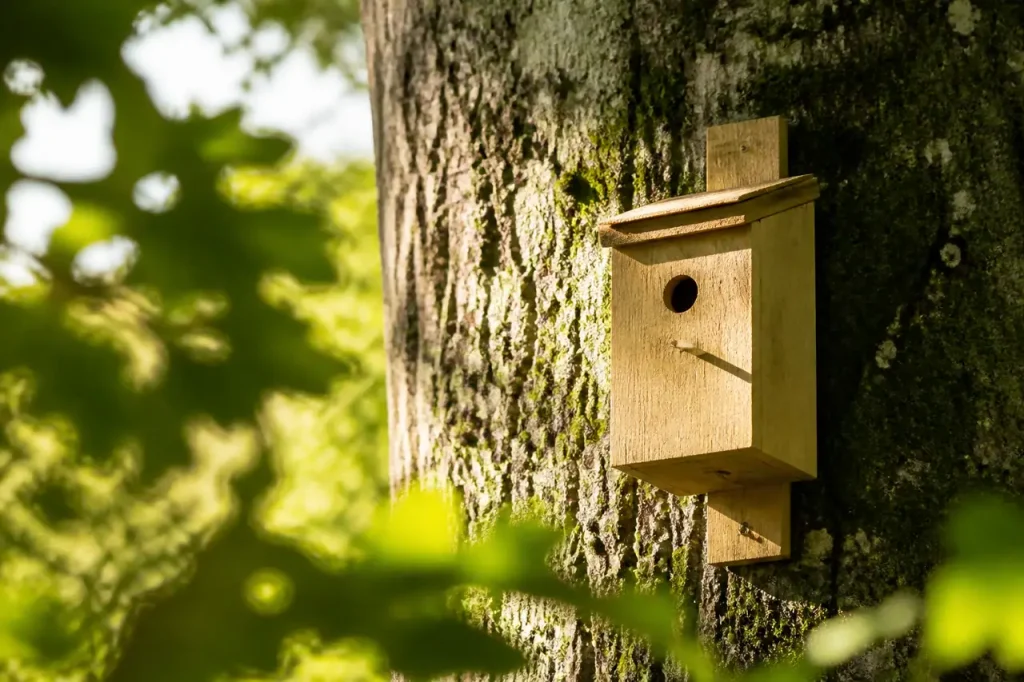 Nichoir en bois fixe sur un tronc ensoleille