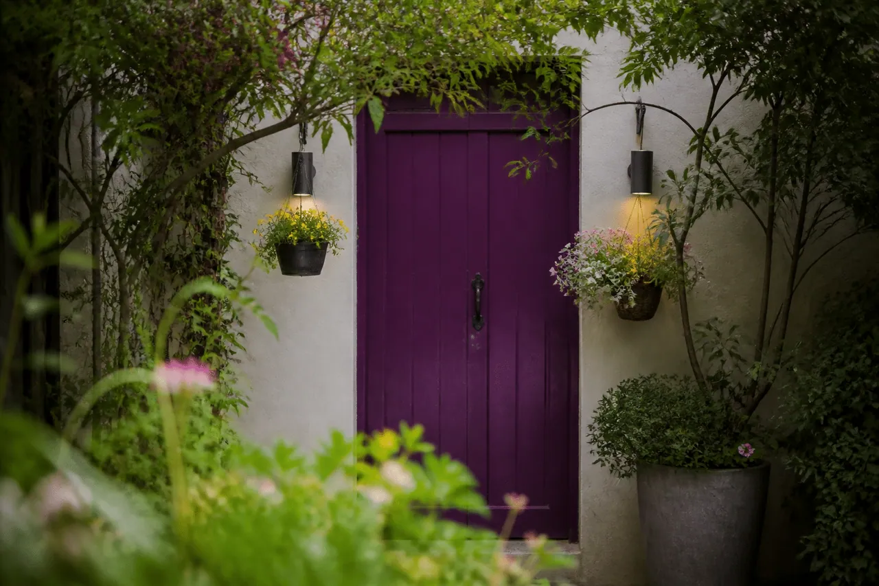 Porte coloree encadree de plantes et luminaires modernes.
